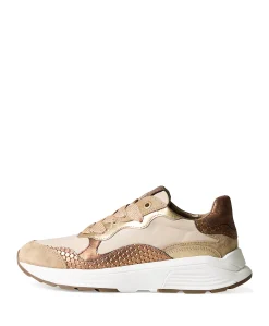 Rainbow dames sneakers bruin