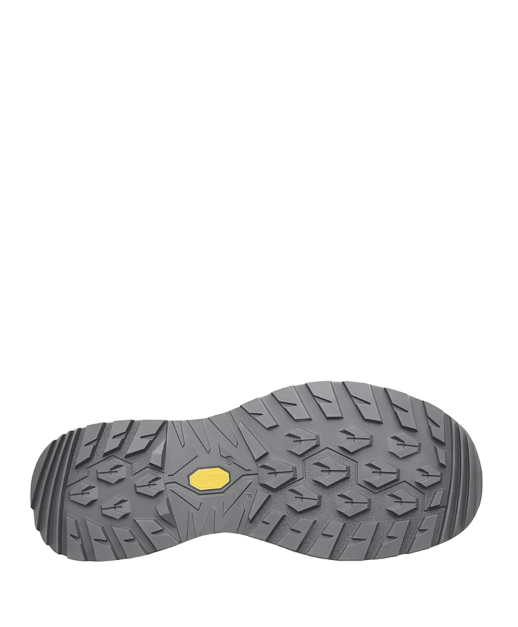 Renegade Evo GTX Lo heren wandelschoenen zwart
