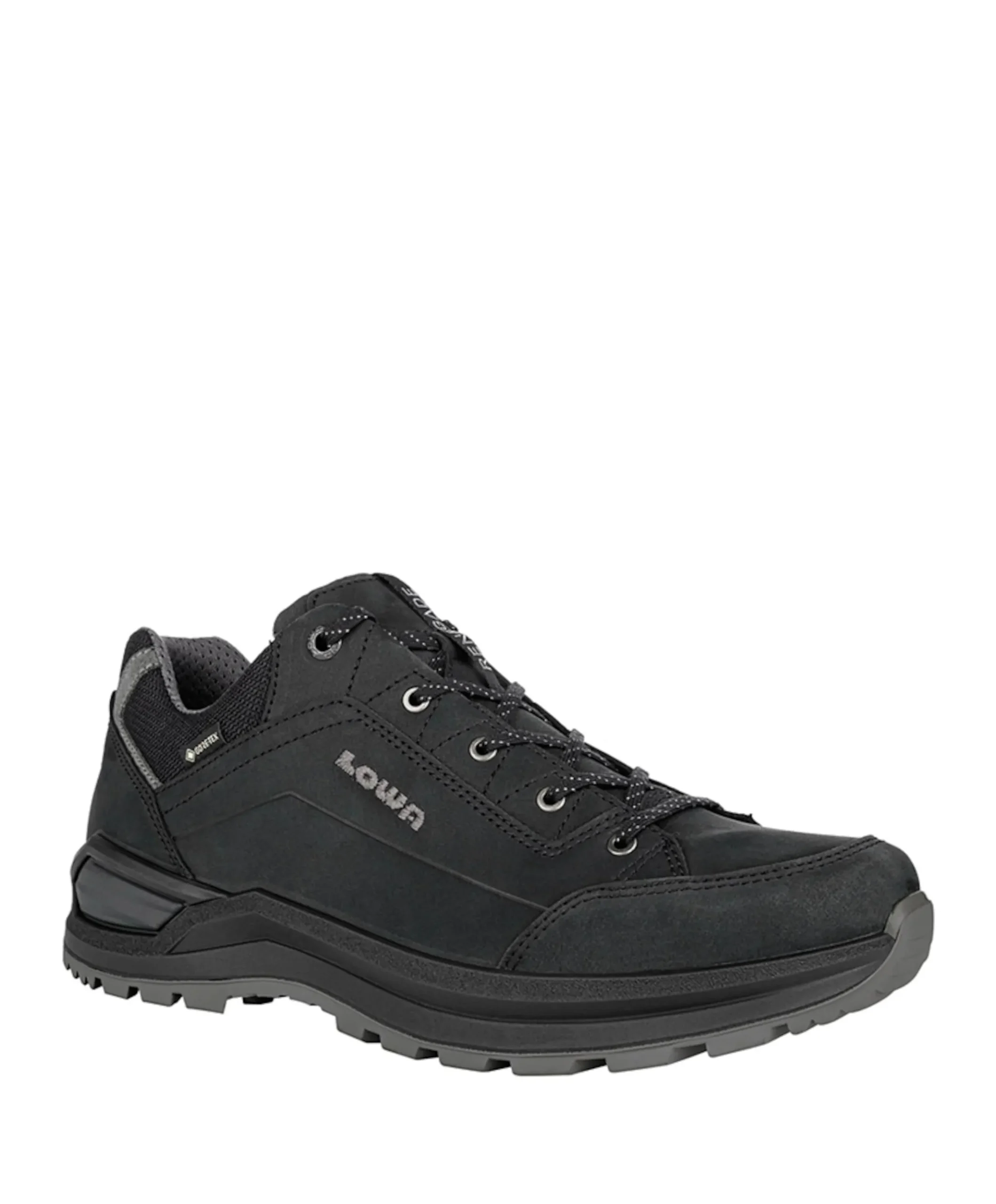Renegade Evo GTX Lo heren wandelschoenen zwart