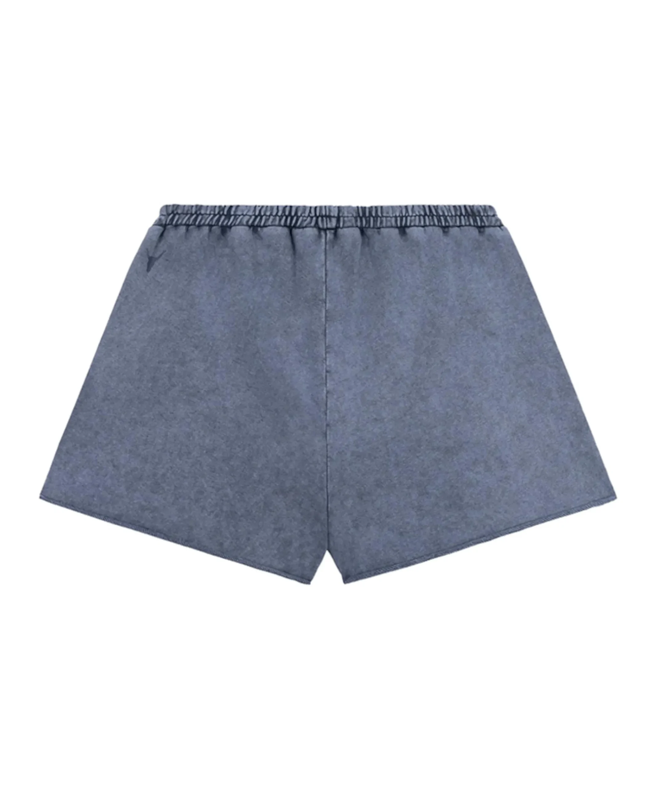 TEAM ALIX SWEAT SHORTS dames korte broek blauw