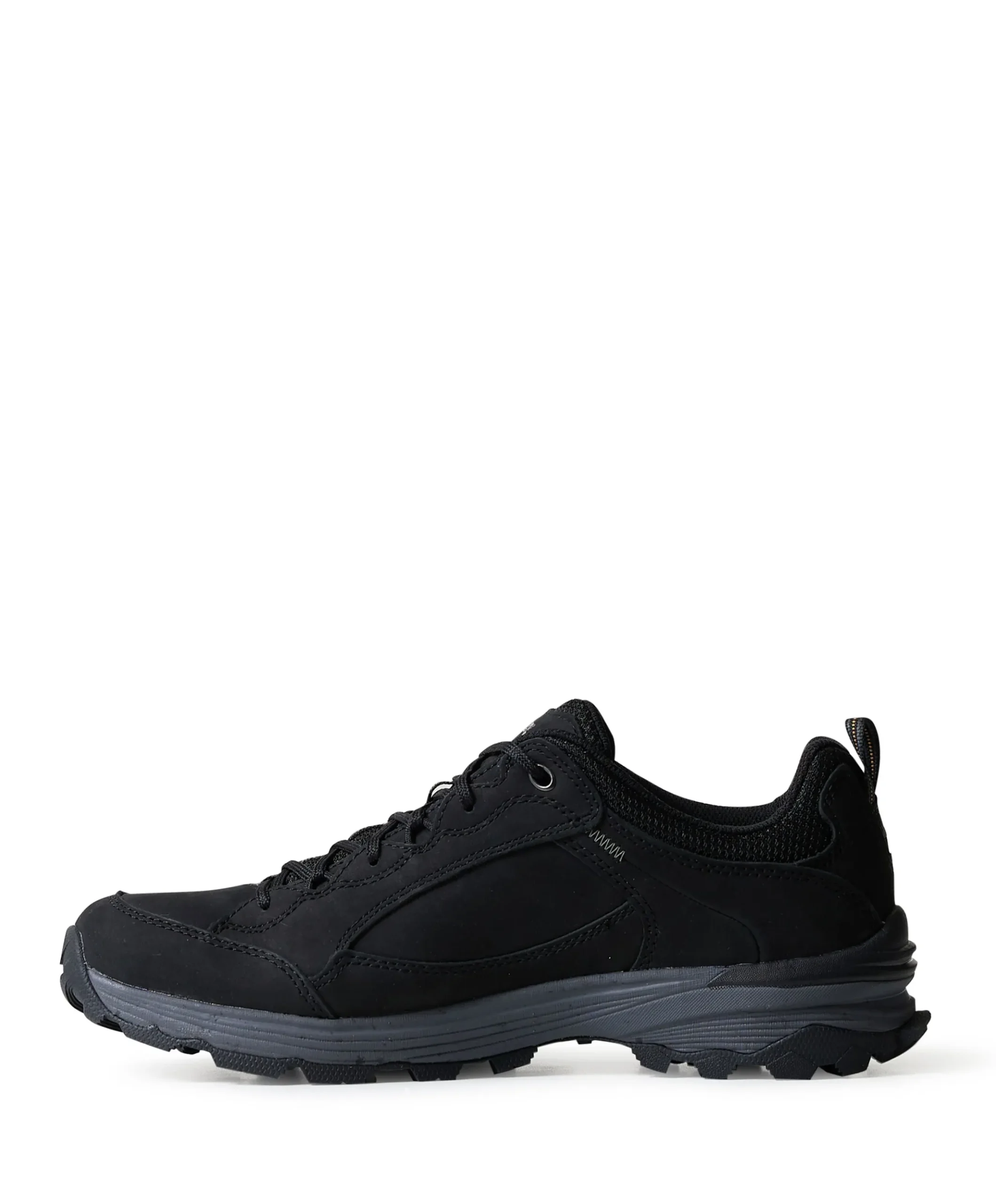 Toledo 2 GTX heren wandelschoenen zwart