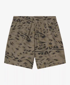 Travon Shorts heren korte broek groen