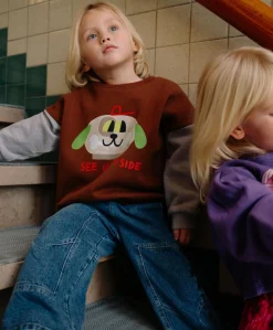 Uniseks sweater bruin